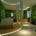 SPA Sauna Room Interior Design With Green Plant Walls White Curtains And Wooden Bathtub