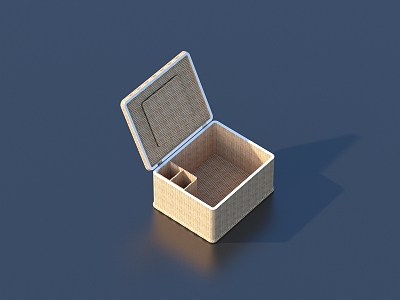 Storage Basket model