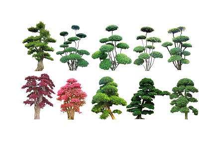 Various Ornamental Arbor Trees With Different Shapes And Green Red Foliage 3d model