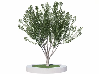 Tall Arbor With Lush Green Leaves And Circular Concrete Base On Fresh Grass 3d model