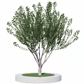 Landscape tree peach tree pool 3d model