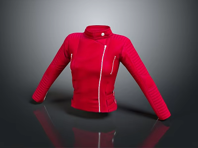 Red Stand Collar Jacket With White Zipper And Stitched Sleeve Details 3d model