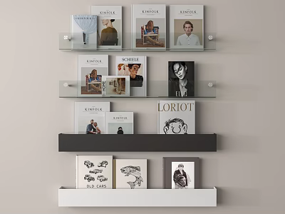 Modern Wall Mounted Storage Shelves With Books Magazines And Layered Design 3d model