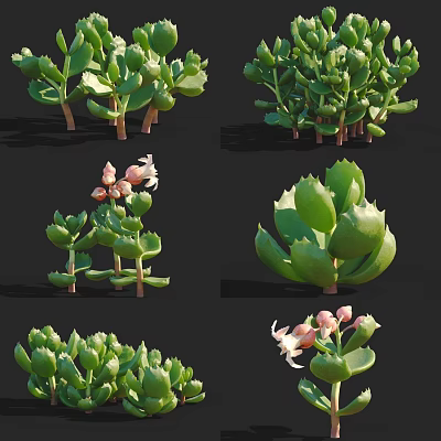 Modern Bear Boy Fleshy 3d model