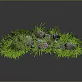 Natural Stone Decor with Lush Green Grass for Outdoor Garden Design