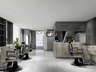 Modern Hair Salon Interior Design With Barber Chairs Reception Counter And Plants 3d model