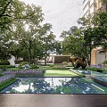 Lush Urban Landscape Garden with Reflecting Pool Purple Flowers and Sculpture
