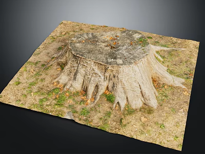 Natural Wood Tree Stump With Visible Annual Rings And Exposed Roots On Grass 3d model