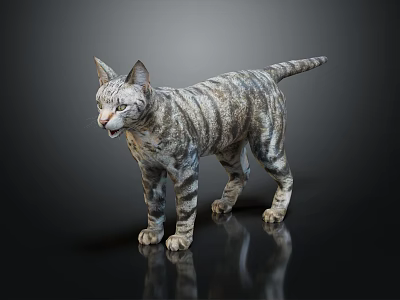 Realistic Gray Striped Reptile Standing On Black Reflective Background Surface 3d model