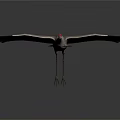 Flying Crane With Red Crown And Grey Brown Feathers In Gradient Grey To Dark Background