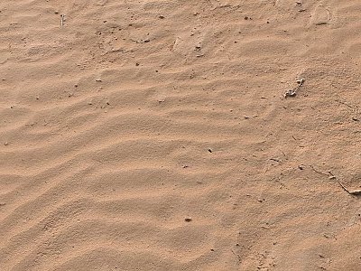 Desert Landscape With Vast Sandy Terrain And Natural Wave Ripples 3d model
