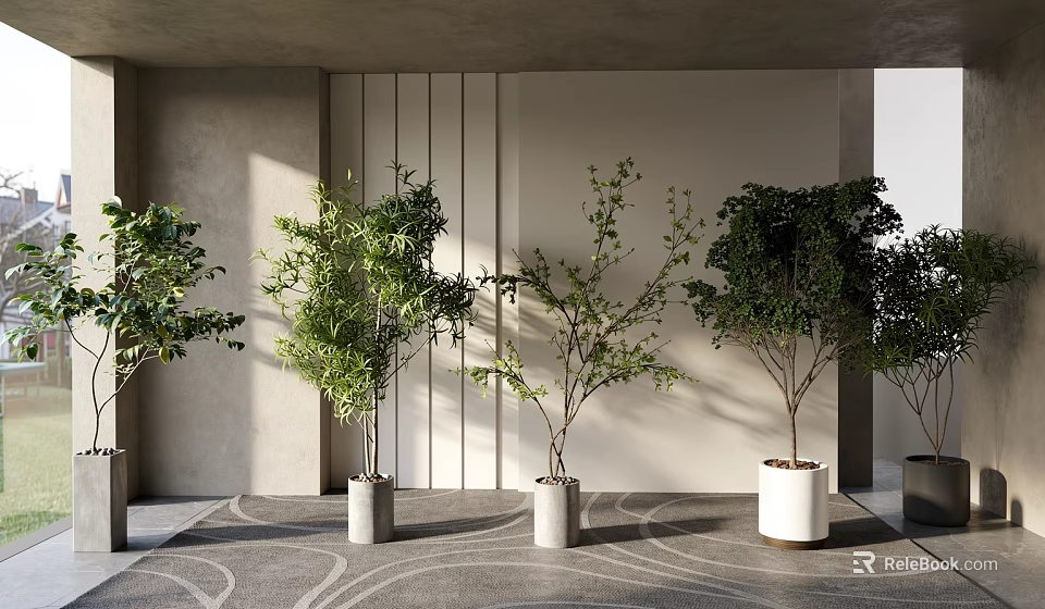 Modern Hall Interior With Various Potted Plants In White And Gray Pots On Patterned Carpet 3d model 