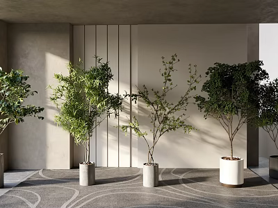Modern Hall Interior With Various Potted Plants In White And Gray Pots On Patterned Carpet 3d model