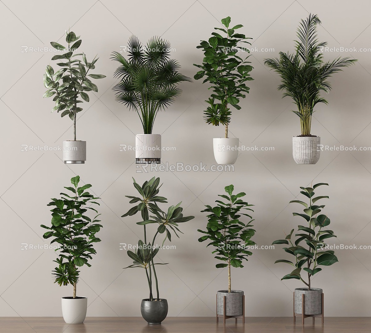 Green Plant Bonsai Plant Combination 3d model