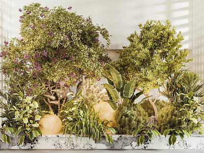 Vibrant Indoor Landscape Featuring Lush Greenery Purple Flowering Plants And Natural Decor 3d model