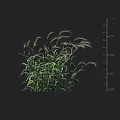 Lush green grass plant with height measurement scale for garden display purposes