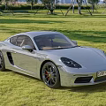 Silver Porsche Sleek Sports Car Parked On Green Grass With Trees