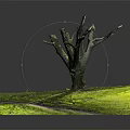 Natural Leafless Wooden Tree Trunk Surrounded By Green Grass And Fresh Soil In Outdoor View
