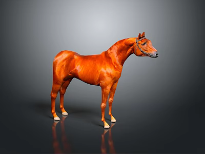 Brown Horse Full Body Standing In Gray Gradient Background With Reflective Floor 3d model