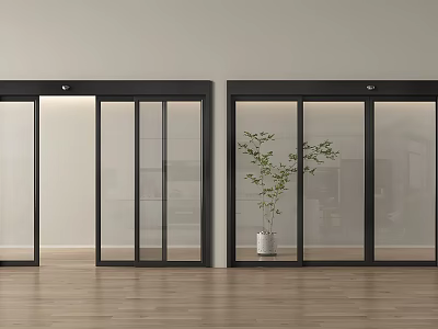 Modern Black Sliding Glass Doors With Green Plant And Wooden Floor 3d model