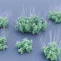 Green Herb Plants With Purple Small Flowers In Clustered Natural Growth
