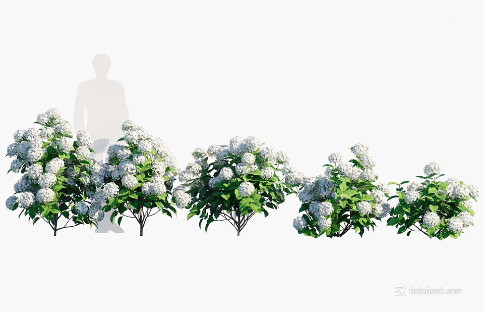 White Flowering Garden Plants with Lush Green Leaves and Fresh Blooms 3d model 