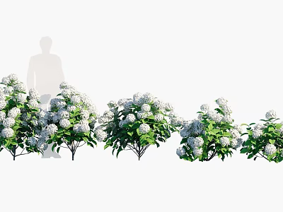 White Flowering Garden Plants with Lush Green Leaves and Fresh Blooms 3d model