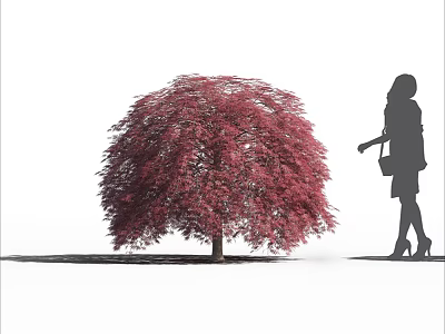 Red Foliage Arbor With Woman Silhouette Carrying Handbag In High Heels 3d model