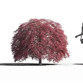 Red Foliage Arbor With Woman Silhouette Carrying Handbag In High Heels