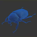 Close Up View Of Detailed Brown Beetle With Shiny Exoskeleton And Long Legs