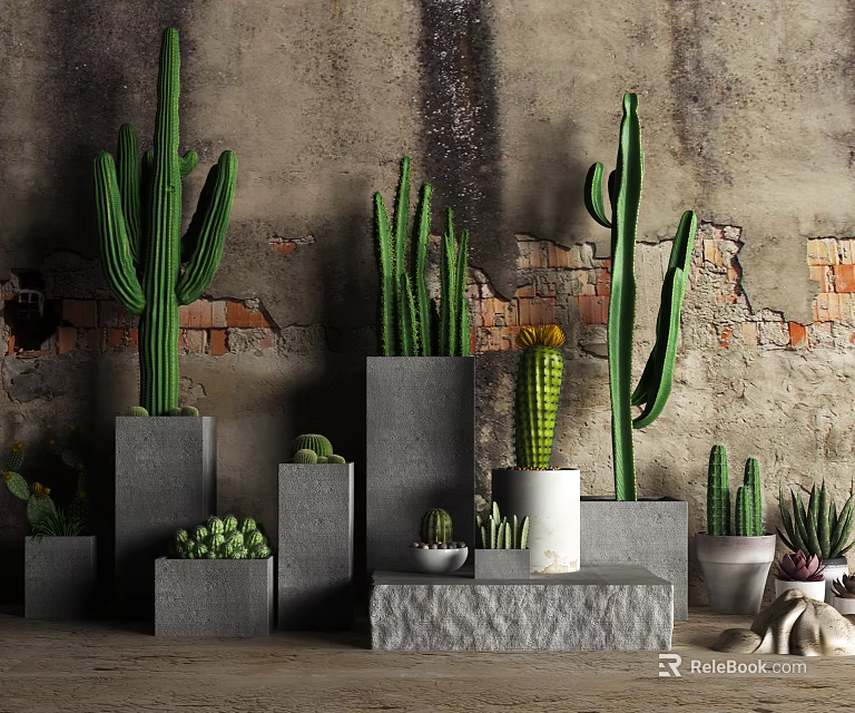 Cactus Bonsai Plants in Gray and White Pots on Stepped Display with Brick Concrete Wall 3d model 