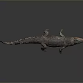 Crocodile Alligator Nile Crocodile carnivore reptile cold-blooded animal reptile 3d model