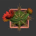 Green Cactus With Yellow And Red Flowers In Pink Decorative Pot