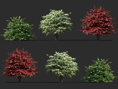 Diverse Arbor Trees With Colorful Foliage In Green Red And White Varieties 3d model