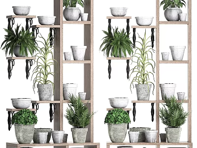 Tiered Wooden Shelving Unit With Potted Plants And Various Decorative Flower Pots 3d model