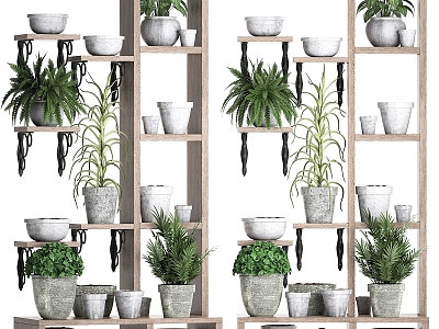 Modern Storage Cabinet Rack Plant Shelf Aloe with Flowers 3d model