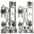 Tiered Wooden Shelving Unit With Potted Plants And Various Decorative Flower Pots