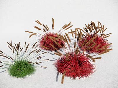 Vibrant Red And Green Spherical Flowers With Brown Slender Grass On White Background 3d model