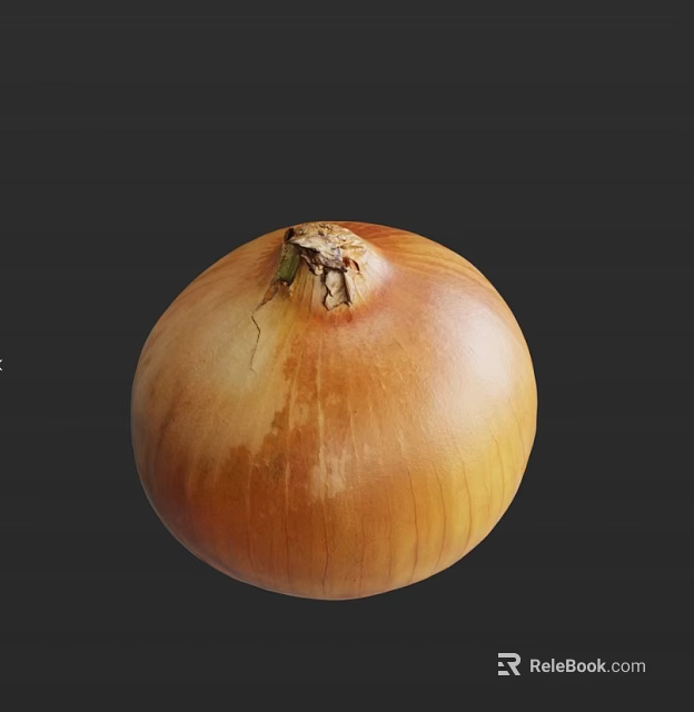 Fresh Organic Brown Onion As Nutritious Vegetable With Natural Skin Texture And Healthy Benefits 3d model 