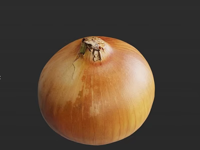 Fresh Organic Brown Onion As Nutritious Vegetable With Natural Skin Texture And Healthy Benefits 3d model
