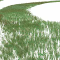 Aquatic Plants Thriving in Shallow Water With Green Foliage and Natural Growth Environment