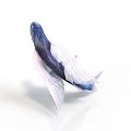 Vibrant Blue And Pink Fish With Transparent Fins On White Background