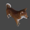 Realistic 3D Model Of Shiba Inu Dog With Brown White Coat Standing
