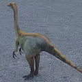 Prehistoric Reptile Dinosaur With Long Neck Standing On Gravel Ground