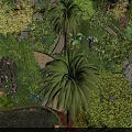 Residential Landscape With Lush Greenery Palm Trees Pond Pathway And Blooming Trees