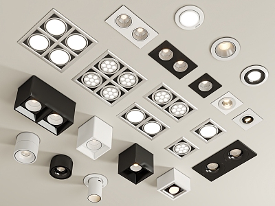 Downlight Spotlight Combination 3d model