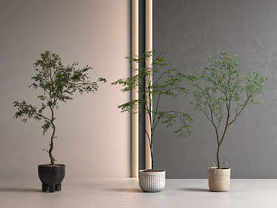 potted medium ancient style bonsai green plant 3d model