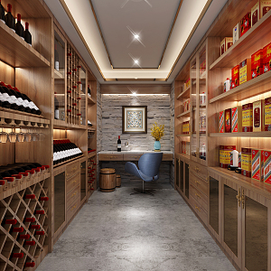 Modern Wine Cellar Leisure Wine Cellar 3d model