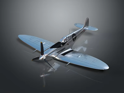 Vintage Silver Propeller Airplane Model with Wide Wings and Cockpit on Dark Reflective Surface 3d model