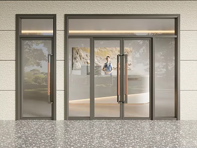 Modern Glass Double Doors Entrance With Metal Frames And Textured Flooring 3d model